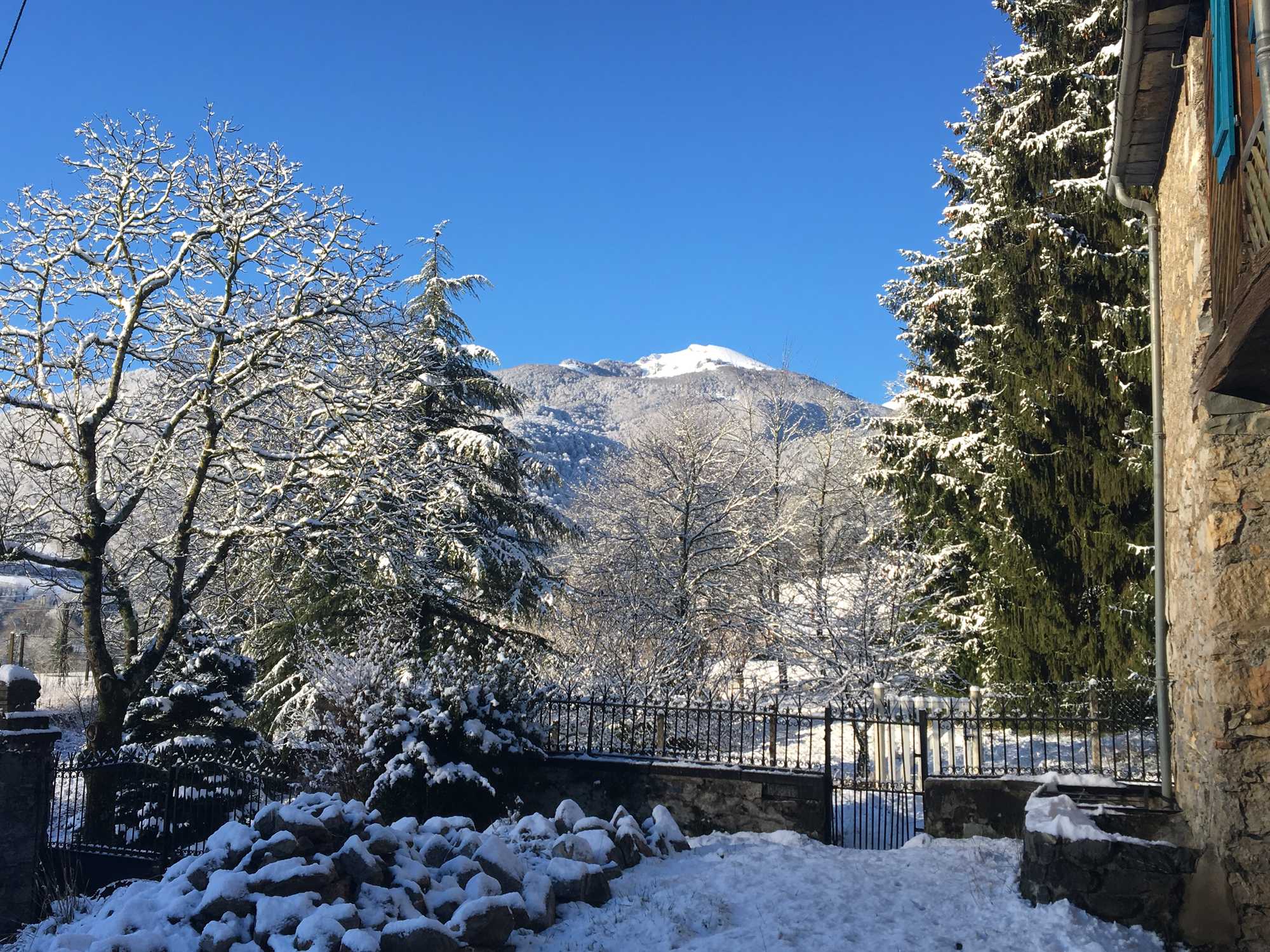 Vue hivernale enneigée vers la montagne