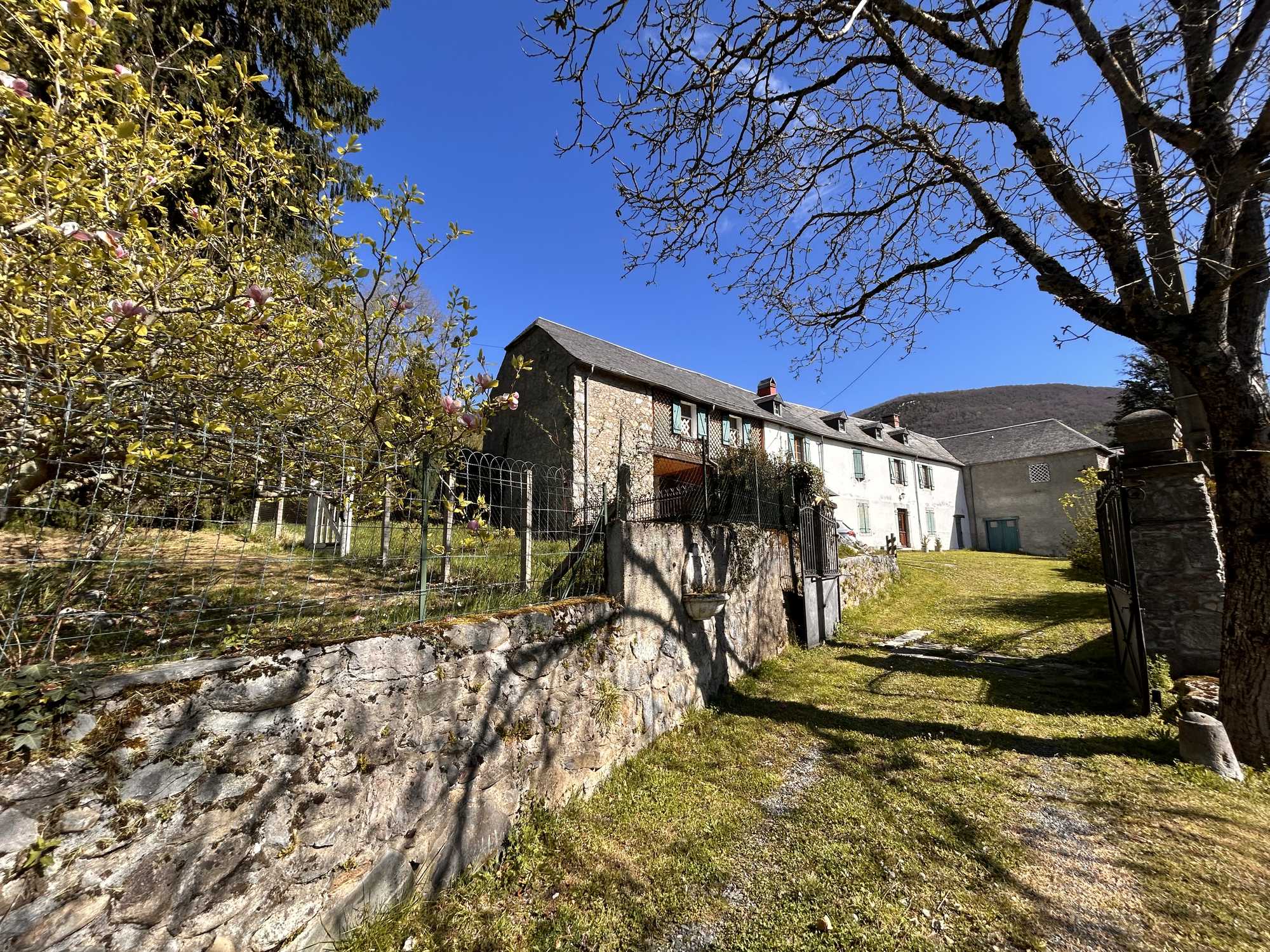 Vue depuis le jardin avec mur en pierre